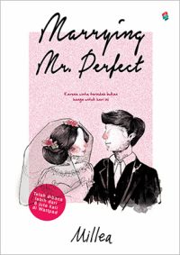 marrying mr perfect