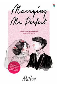 marrying mr perfect