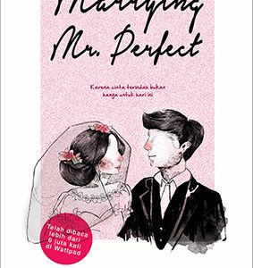 marrying mr perfect